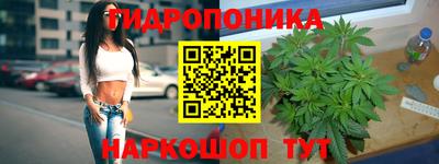 крисы Севастополь