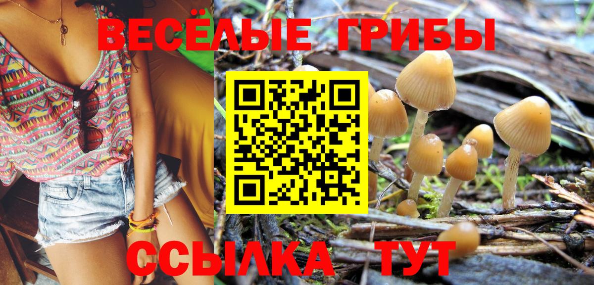 Галлюциногенные грибы прущие грибы  Вход с VPN  Галлюциногенные грибы Psilocybine cubensis  Новосибирск 