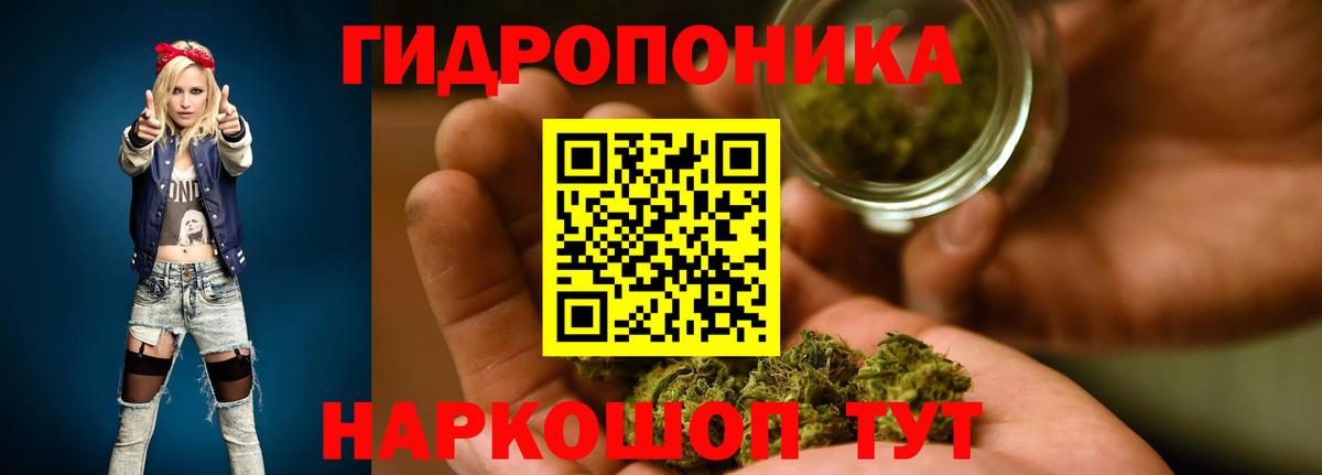 Бошки Шишки Bruce Banner  Канабис VHQ  Новосибирск  Вход с VPN  Шишки марихуана Bruce Banner 